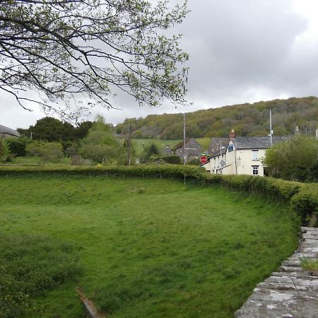 The Farmers Arms, Cwmdu 拉努辛 外观 照片